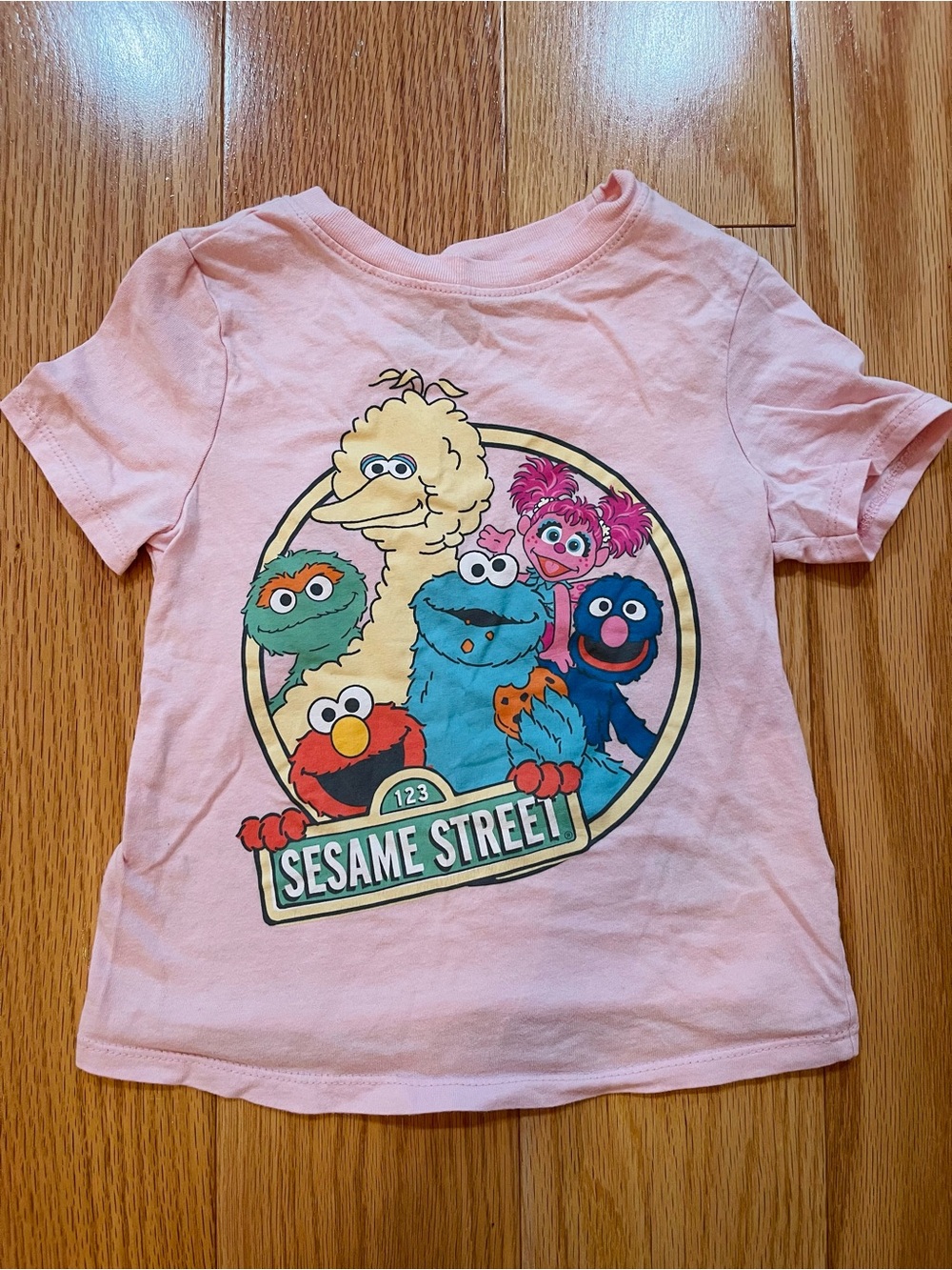 Sesame Street Pink Short Sleeve Tee with Character Circle Graphic